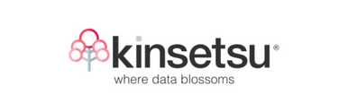 Kinsetsu Limited