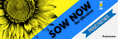 #sownow sunflowers for Ukraine