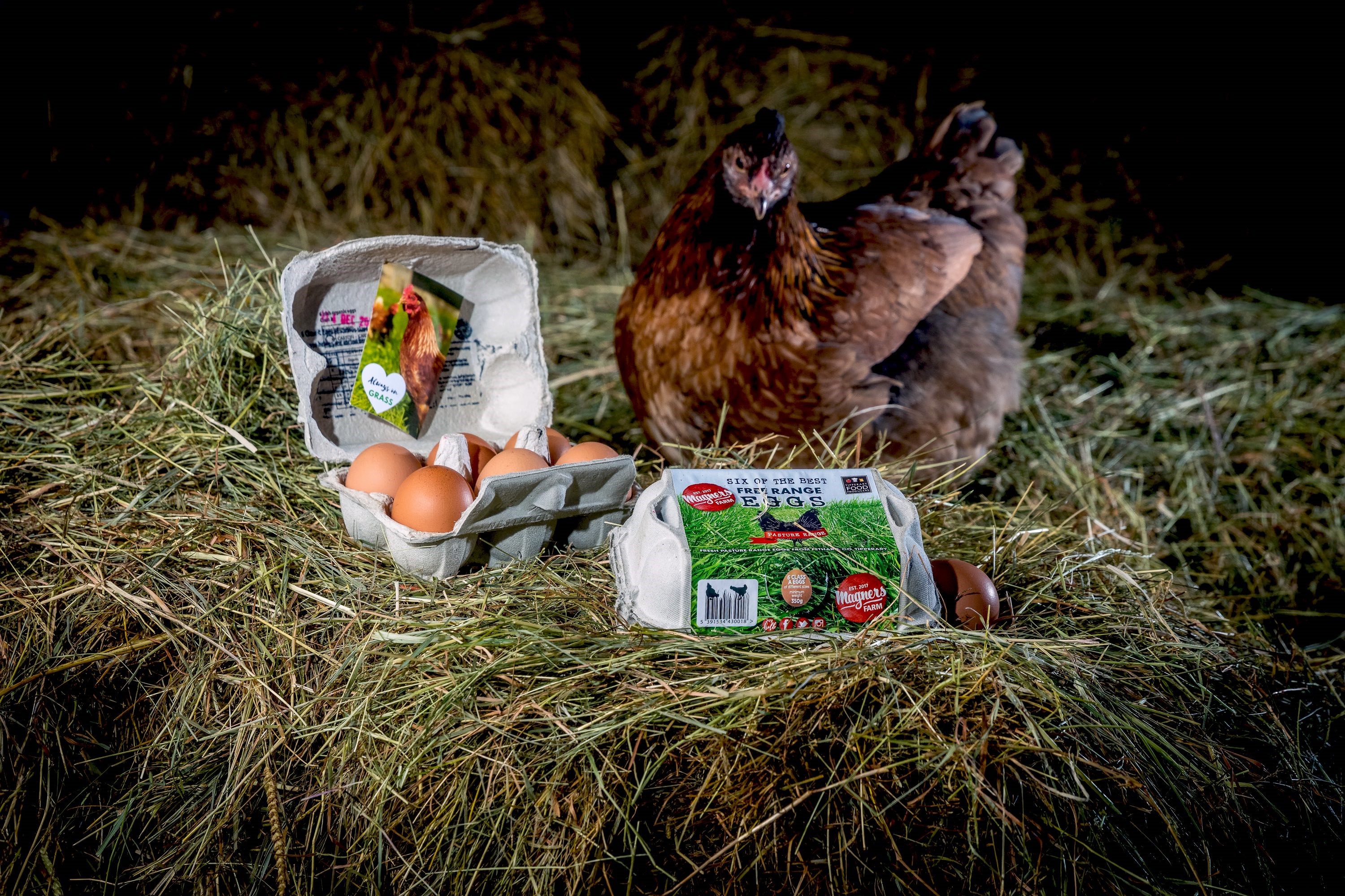 Magners Farm Products