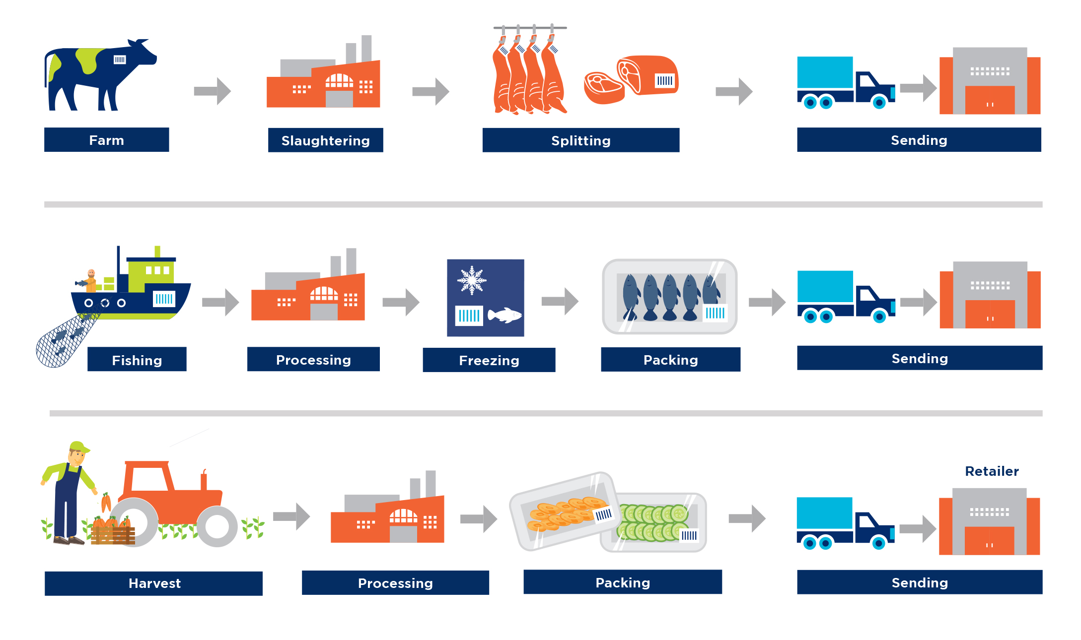 fTRACE New Images 2019 Supply Chain