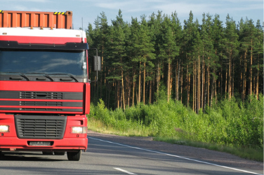 Truck-In-Forest Red Truck in Forest