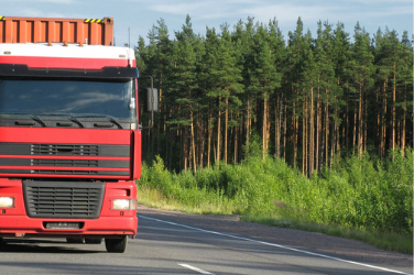 Red Truck in Forest